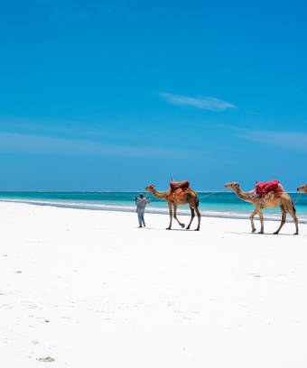 Diani Beach
